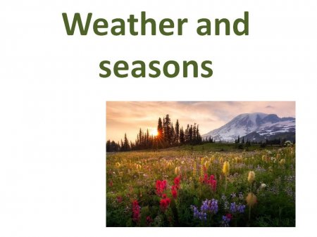 weather