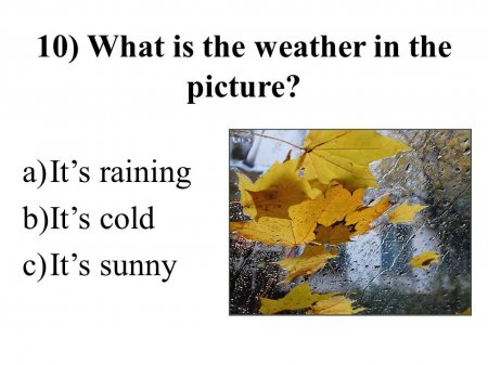 Autumn quiz